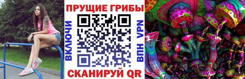 Псилоцибиновые грибы мицелий  наркота  Алатырь 