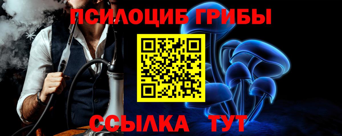 Галлюциногенные грибы Psilocybe Алатырь